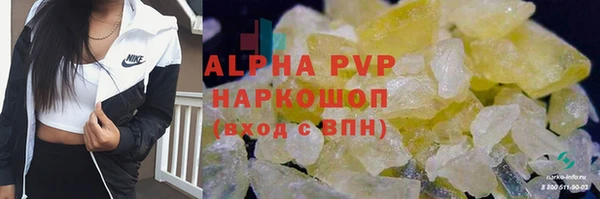 прущие грибы Богородск