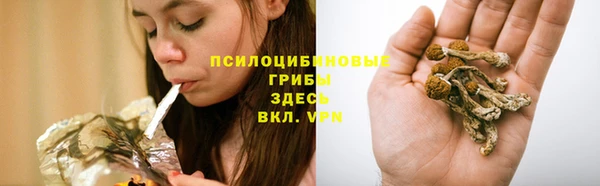 прущие грибы Богородск