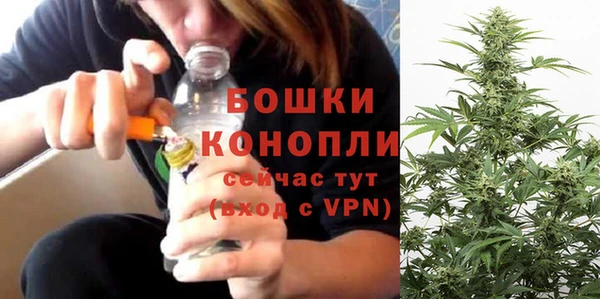 прущие грибы Богородск