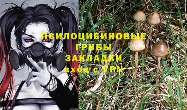 соль курить ск Богородицк