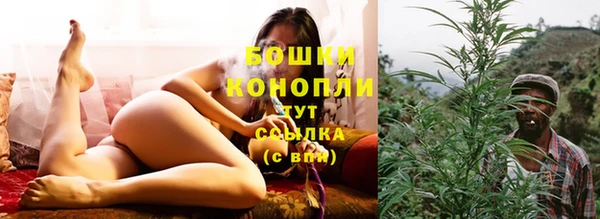 прущие грибы Богородск