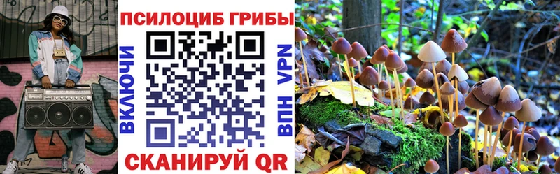 цены   Малоярославец  Галлюциногенные грибы Psilocybe 