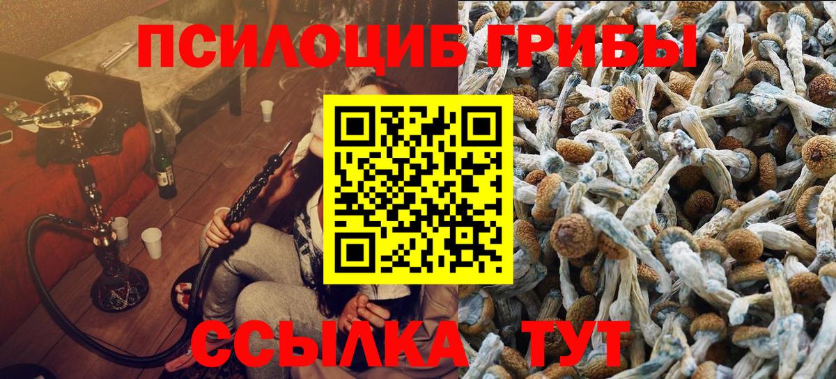 Псилоцибиновые грибы мицелий Малоярославец