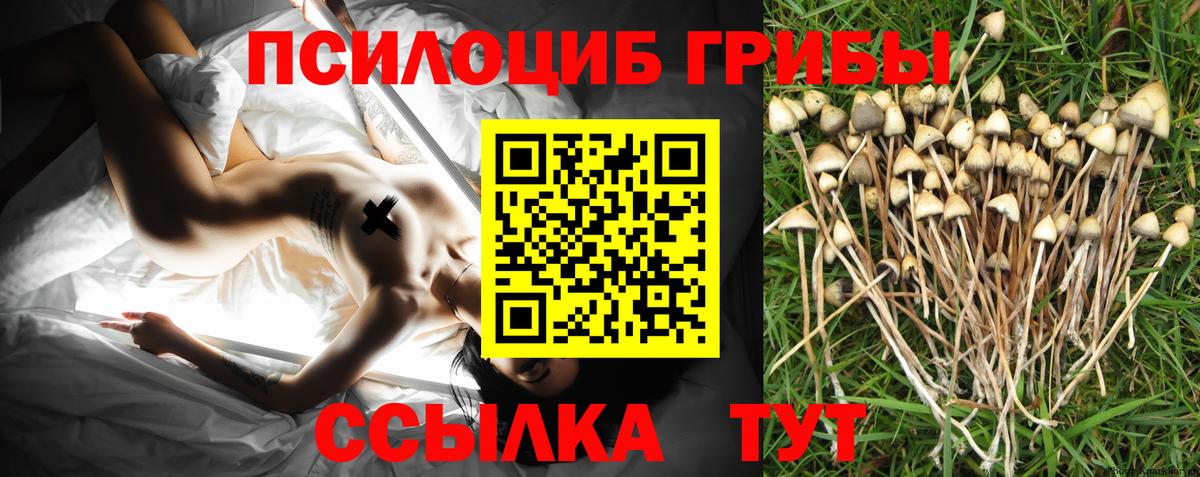 Малоярославец  Псилоцибиновые грибы GOLDEN TEACHER  закладка  Вход с VPN 